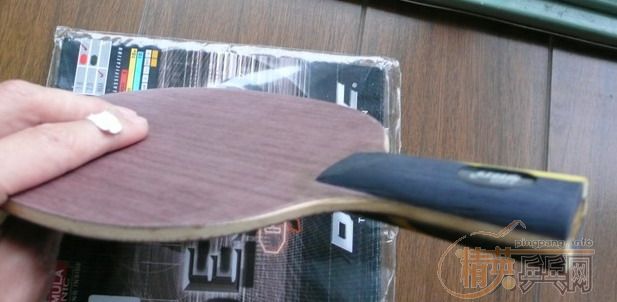 ��ֱ�����һ��~~9.5��,δ�����Ӳ��F1һ��