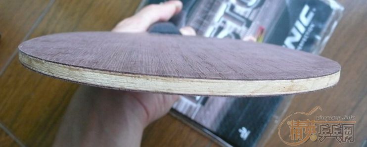 ��ֱ�����һ��~~9.5��,δ�����Ӳ��F1һ��