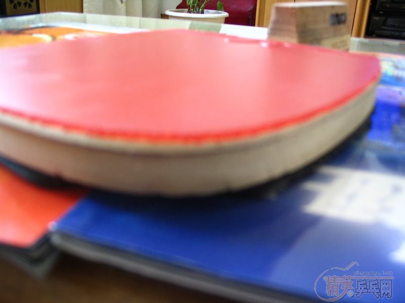 �����ҵ��½�