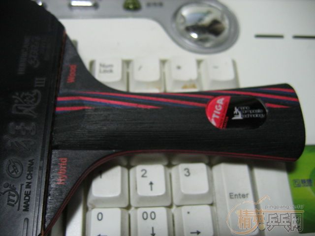 ��Ҳ��stiga����