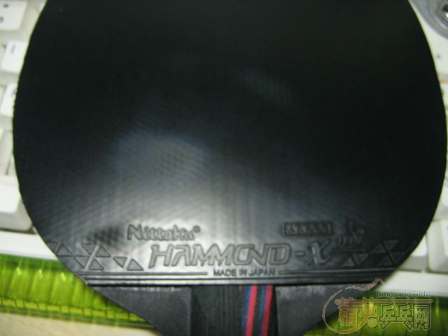 ��Ҳ��stiga����