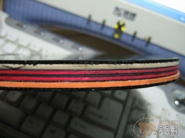 ��Ҳ��stiga����