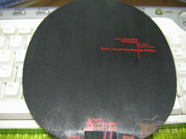 ��Ҳ��stiga����