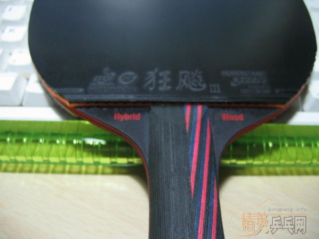 ��Ҳ��stiga����