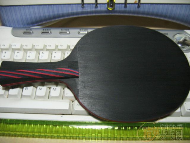 ��Ҳ��stiga����