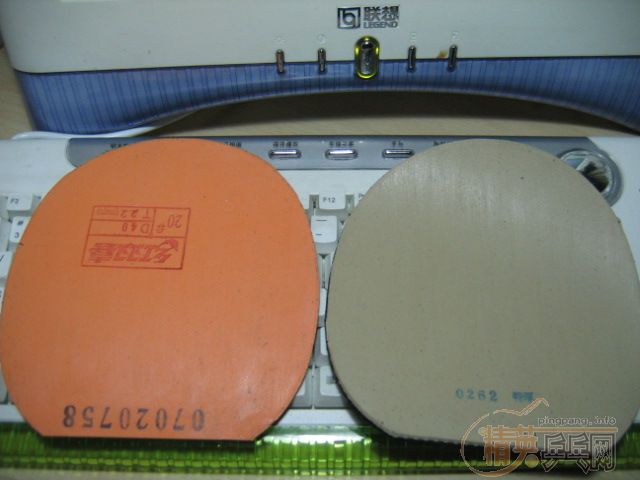 ��Ҳ��stiga����