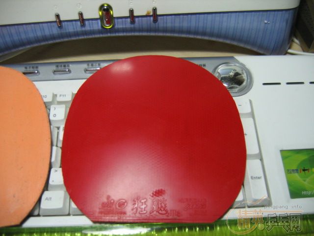 ��Ҳ��stiga����