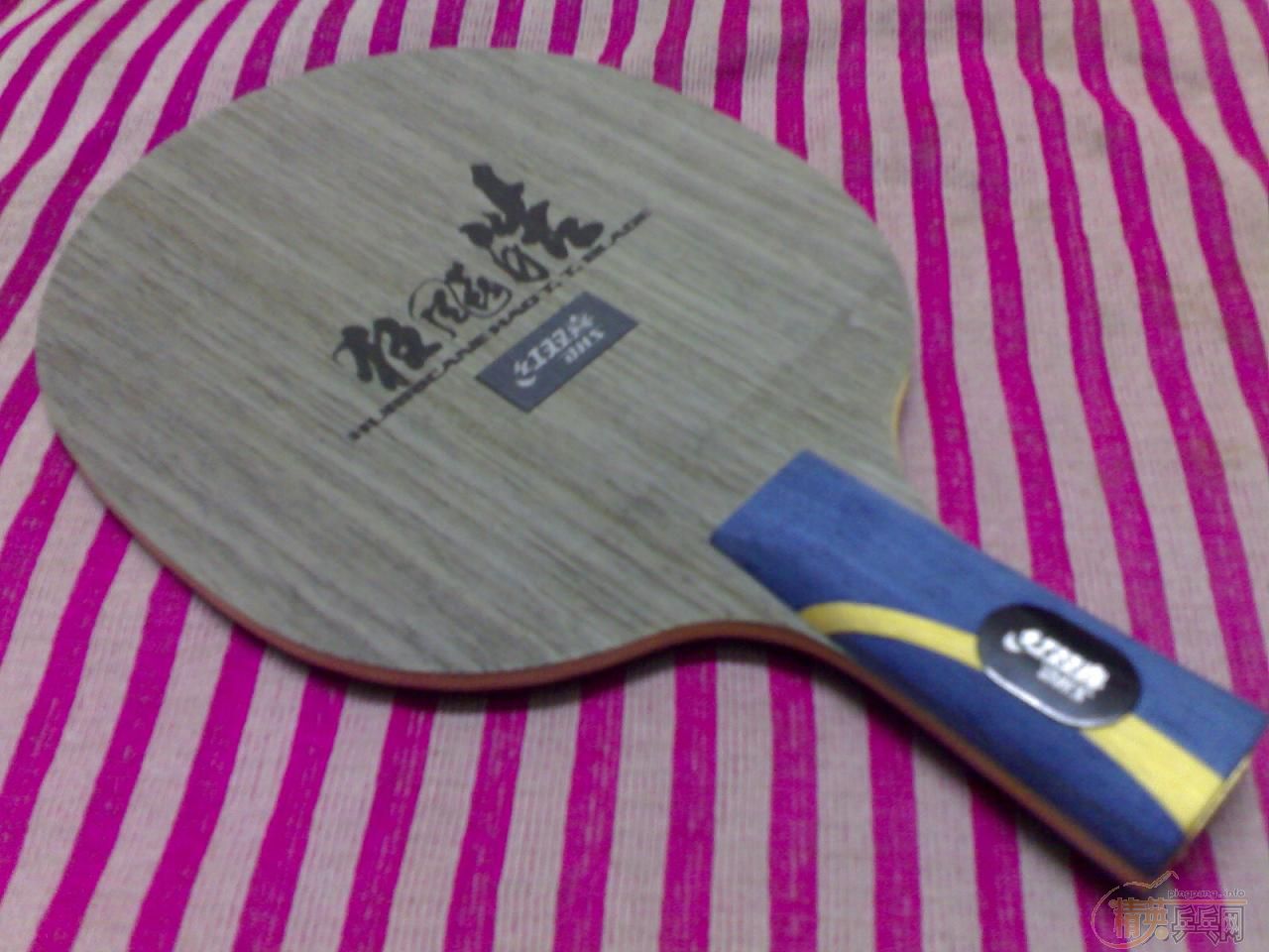 ��һ������(61��)�����հ���̼