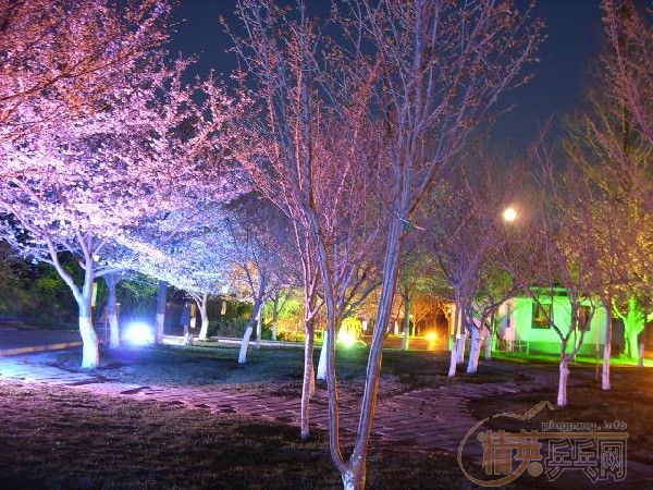 �û�����Ԩ̶��ӣ��