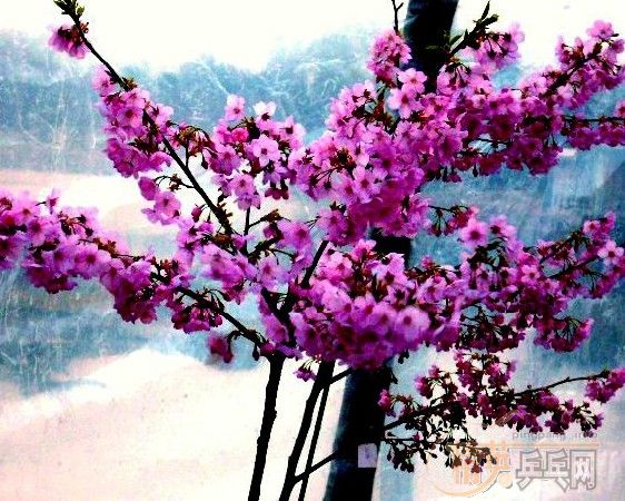 �û�����Ԩ̶��ӣ��