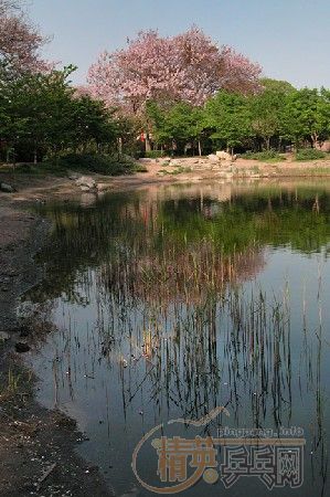 �û�����Ԩ̶��ӣ��