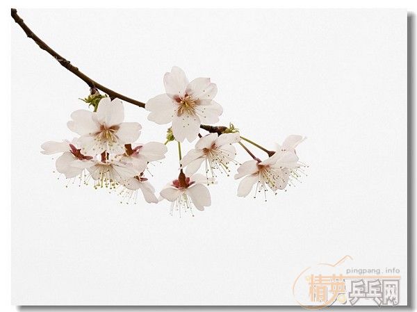 �û�����Ԩ̶��ӣ��