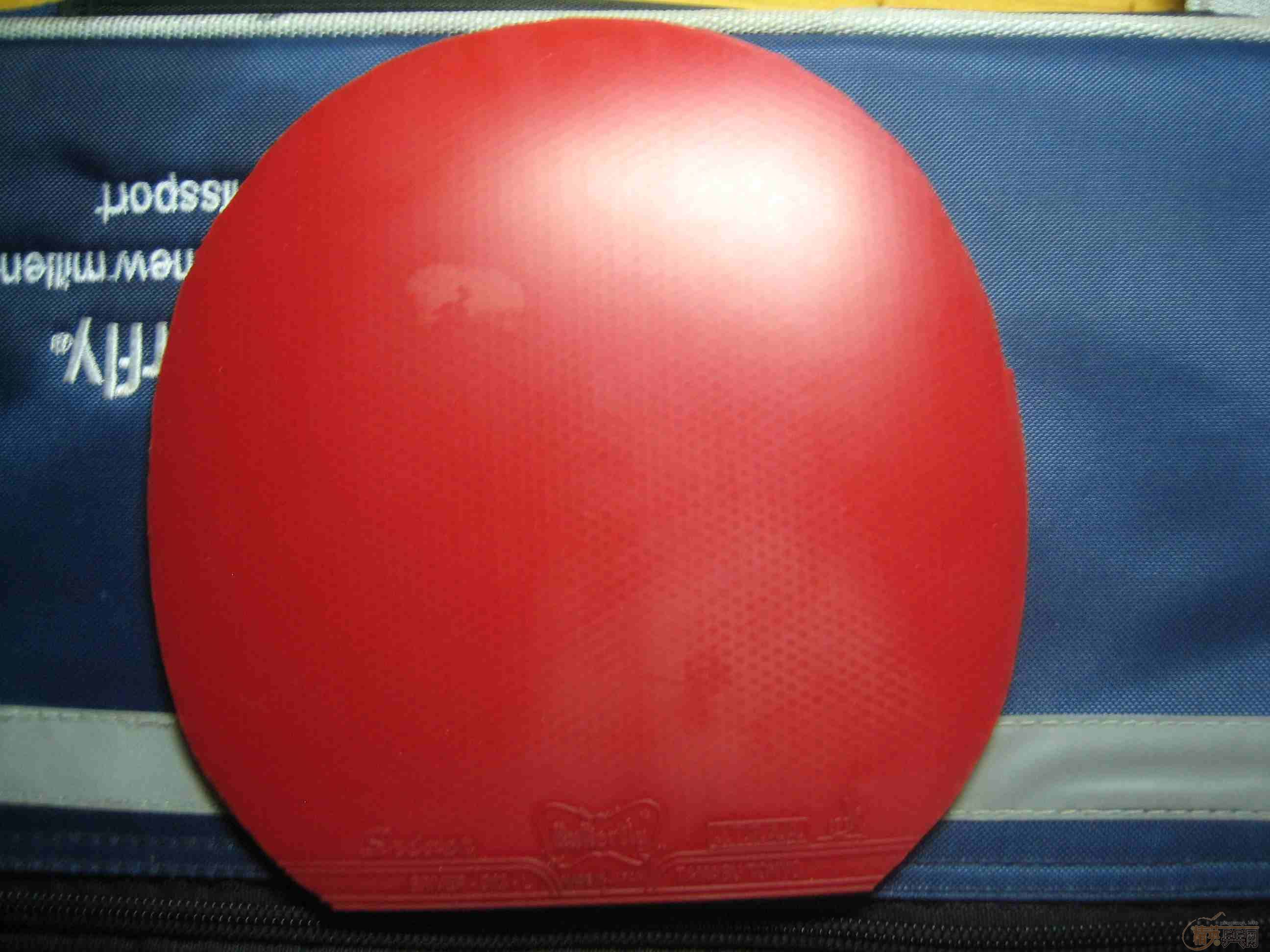 ����һ�����ӣ�������ֱ�кᣬ�к��в��