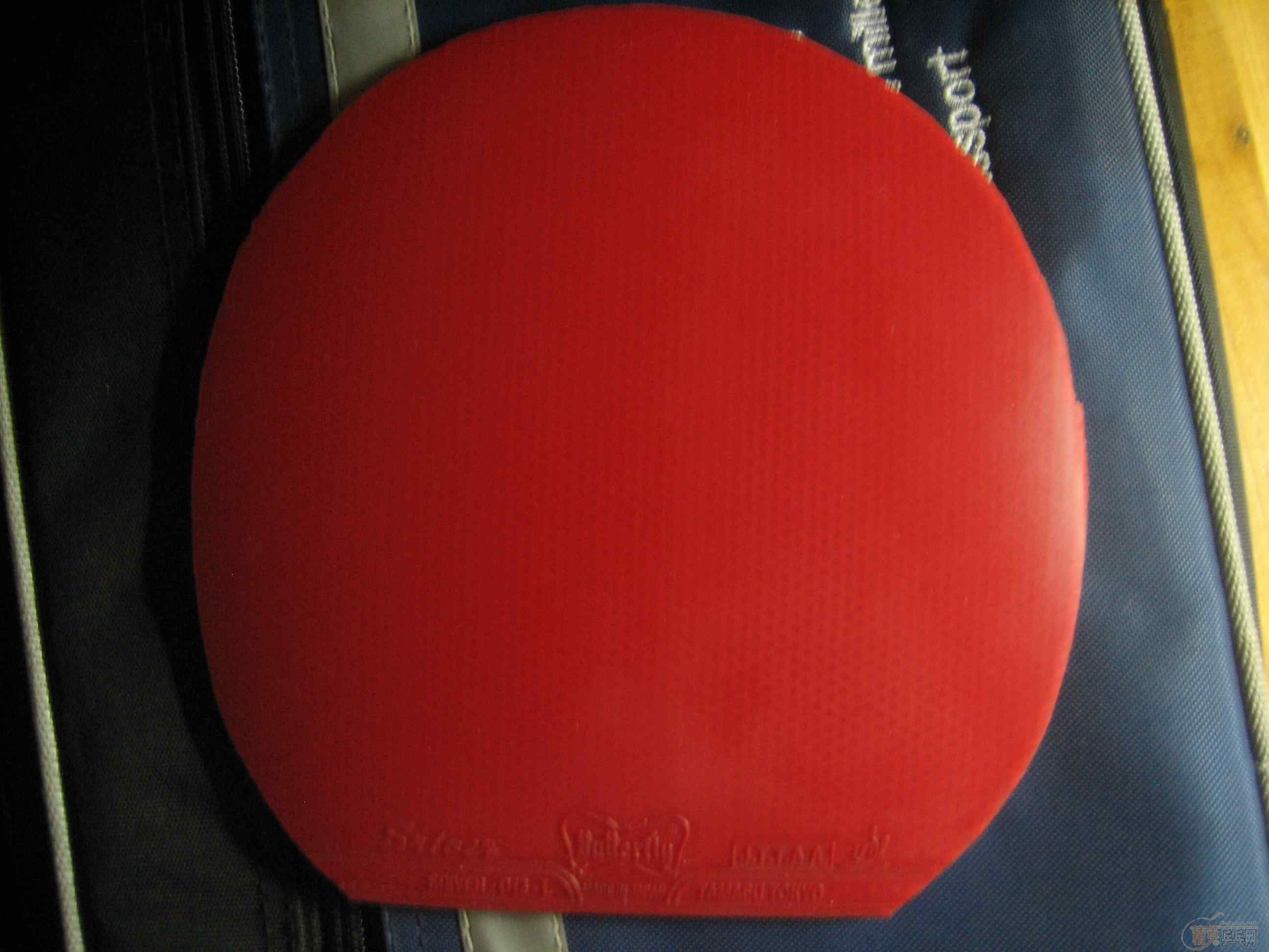 ����һ�����ӣ�������ֱ�кᣬ�к��в��