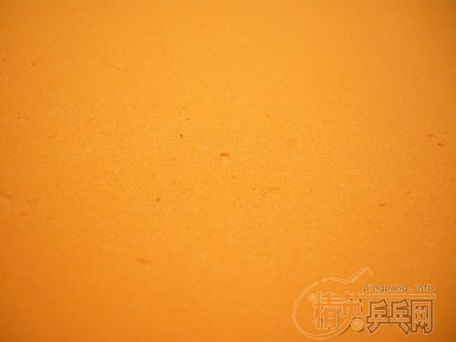 ���𩣨ֱ��300������