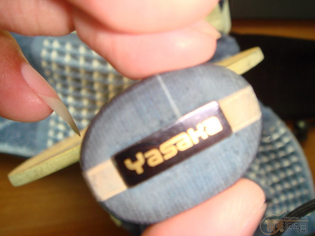 ��YE�л��� (�����ƺ�ע���־) 80�� �����ͼ  230�����ʼ�