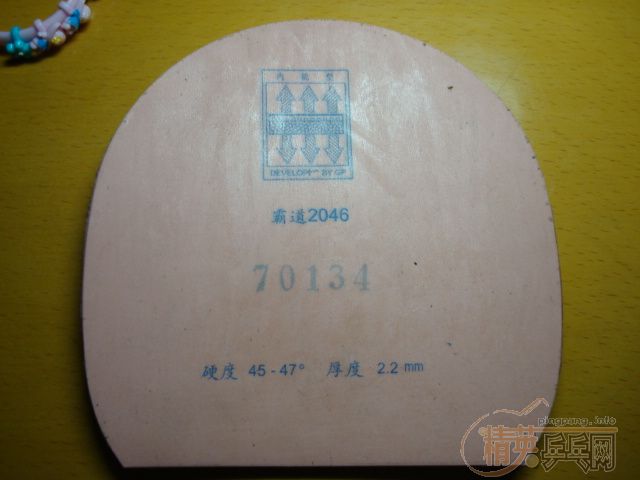 ��YESC��һ��Ե�����2046