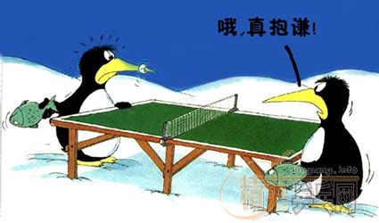 ƹ������