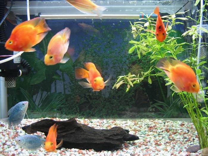 �������Ҽҵ����Ư������