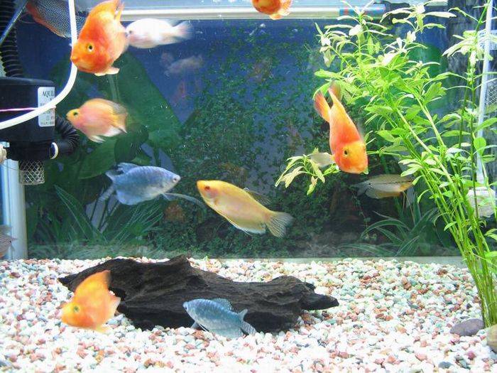 �������Ҽҵ����Ư������