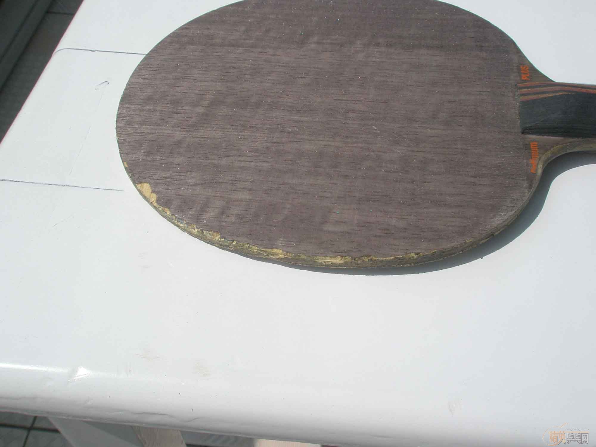 ���Ʊ���,ˮ����ǿ,nittaku jo,����1