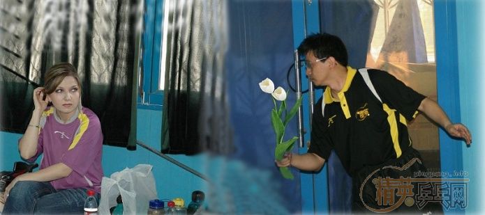 ������ѯ������Ϊɶ�벻����