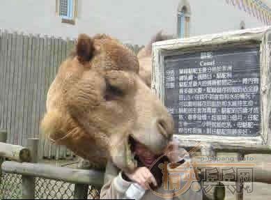 ˭�ܿ���lee��1001��ͷ��