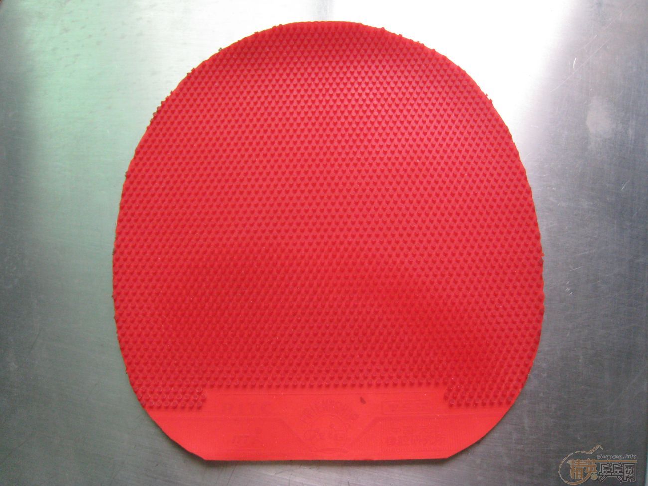 ֧������NBT555ֱ�壬�ټ������׽�280�����