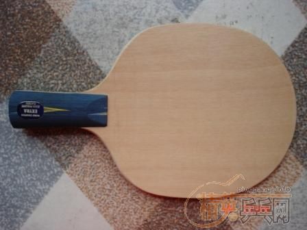 ����ֱֻ��,YE,����OC,����EG