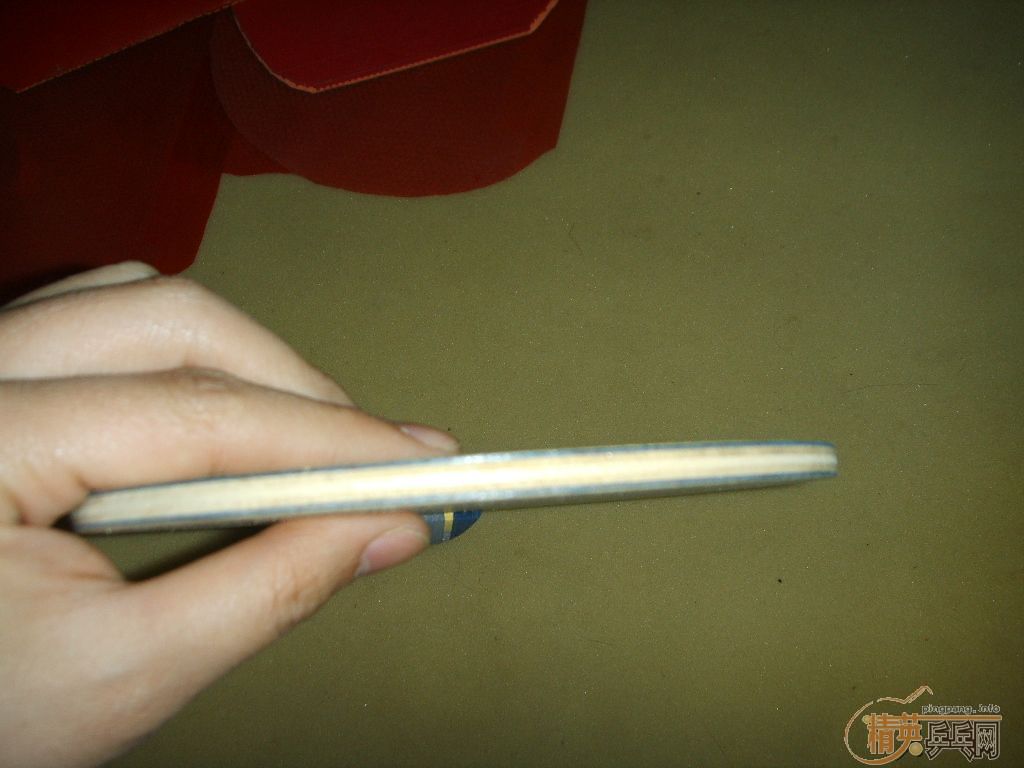 �������壺�ϰ�eg��nittaku anv wl��yasaka maxwood