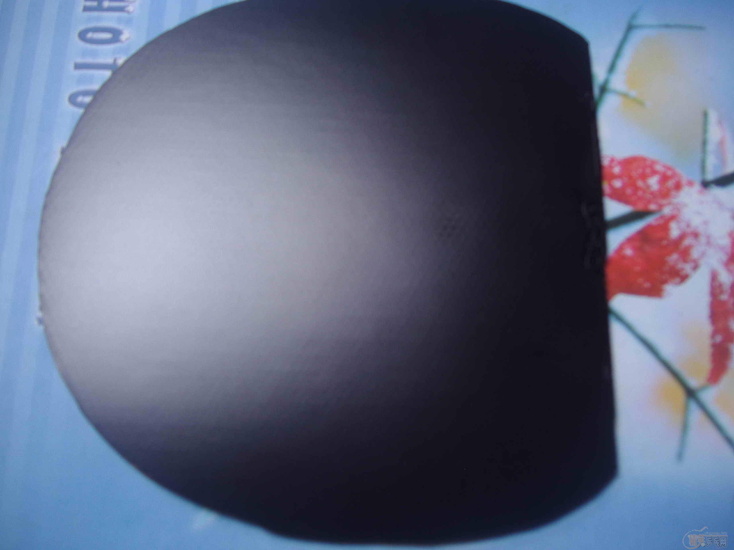 ����sriver max�ͺ�F1