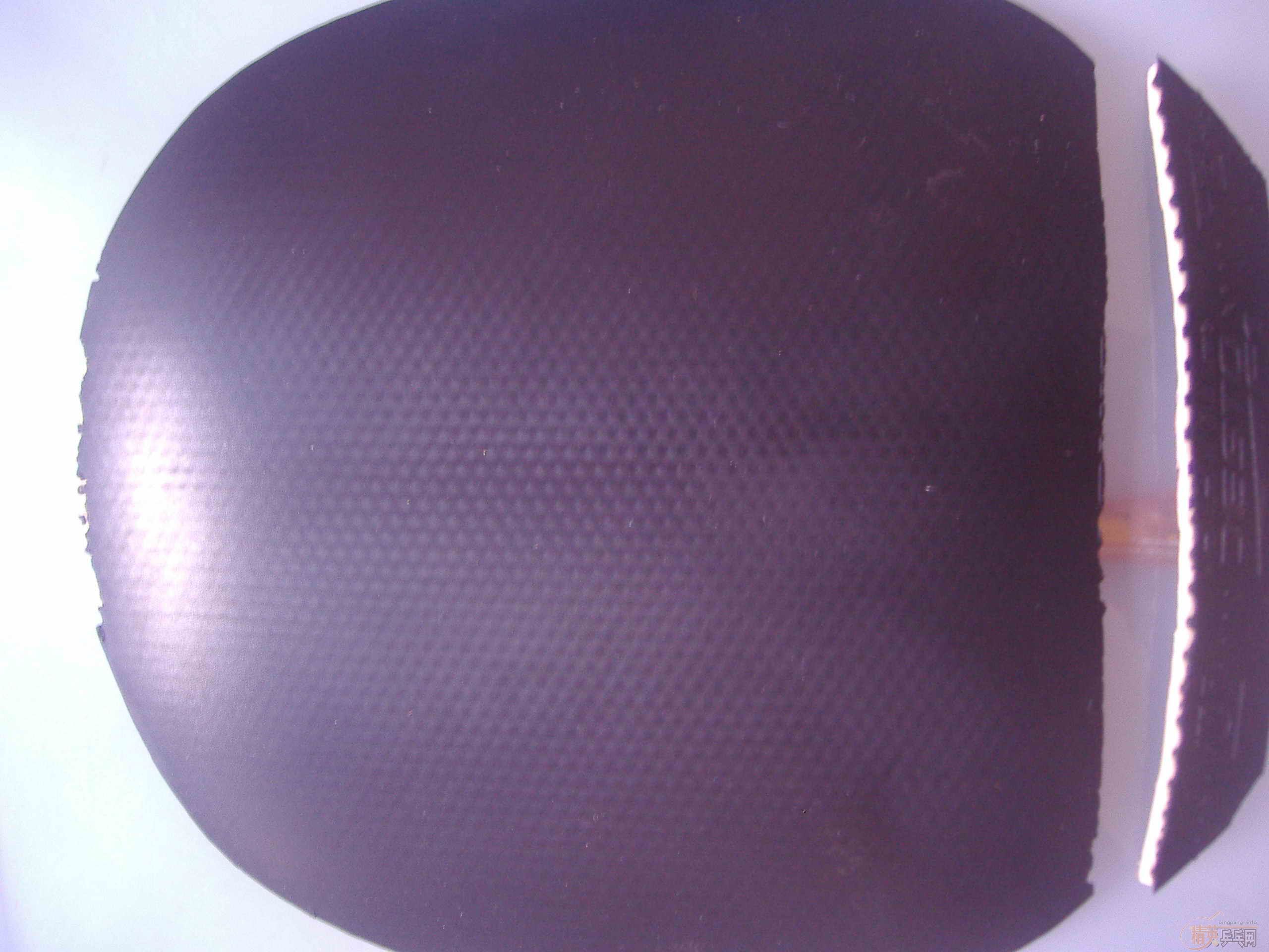 ����sriver max�ͺ�F1