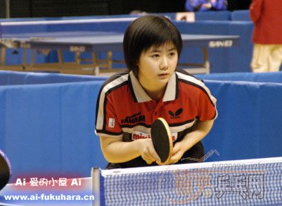 ��ԭ��-���ӡ�����桷�ձ�ż�����й�������������)