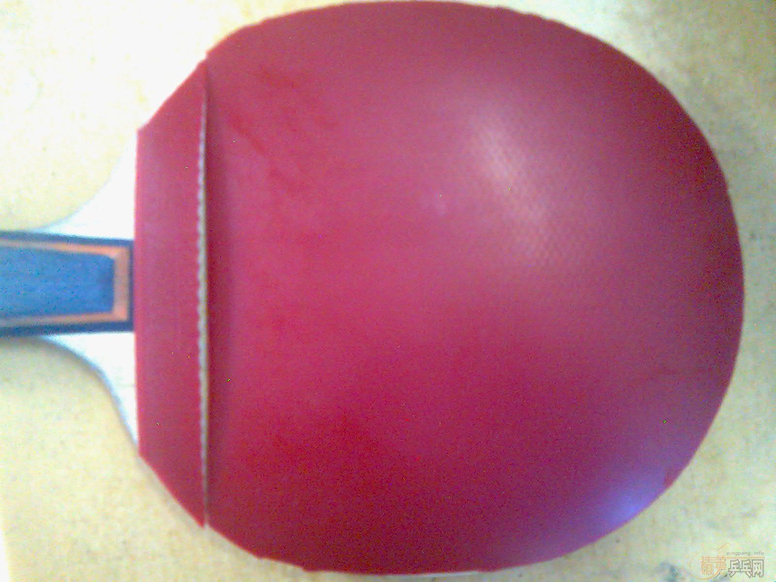 8.5���������׻�רG666���3(9��)