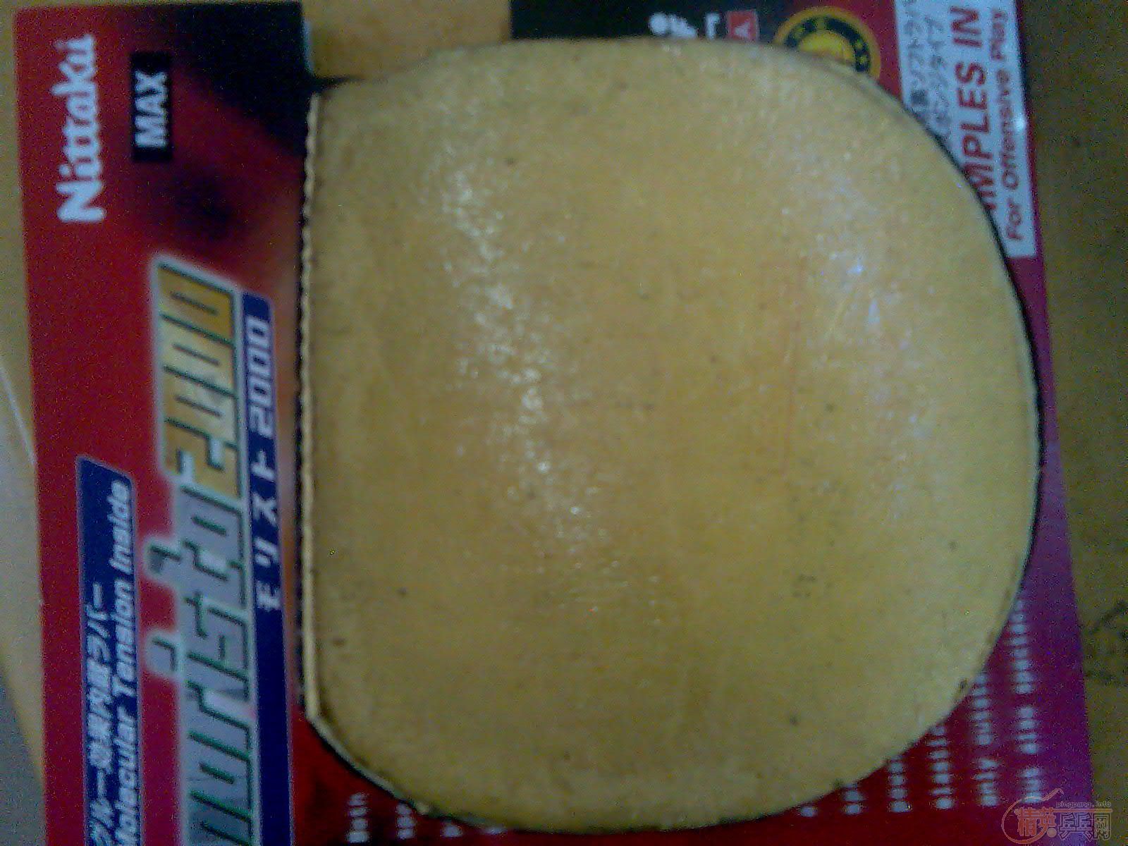 8.5���������׻�רG666���3(9��)