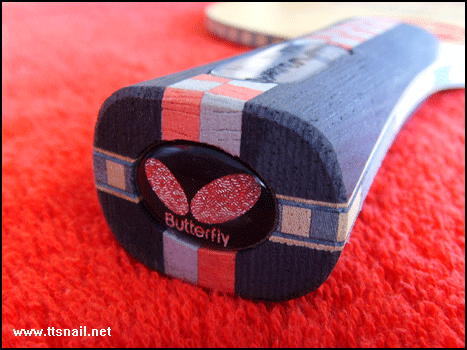 ����BOLL FORTE-FL(220)