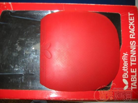 ���ճ�������