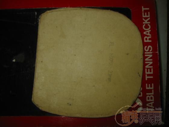 ���ճ�������