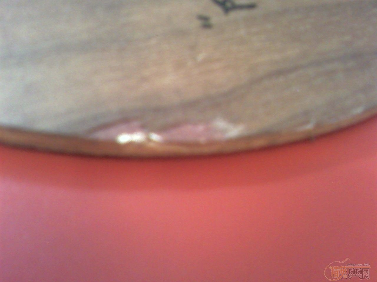 ���ͼ۸��sunflex�����ڣ�120��fl�����ʡ�