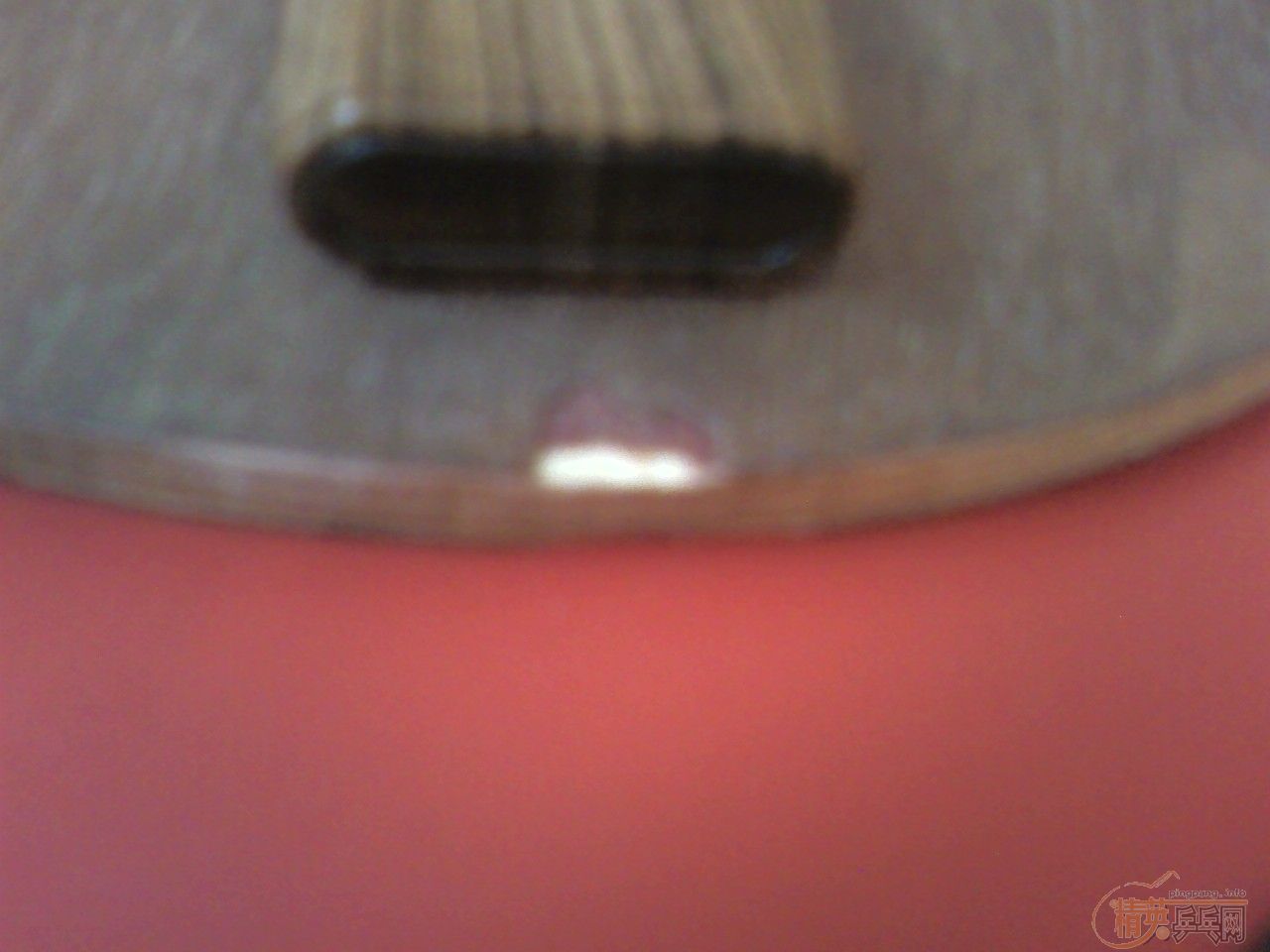 ���ͼ۸��sunflex�����ڣ�120��fl�����ʡ�