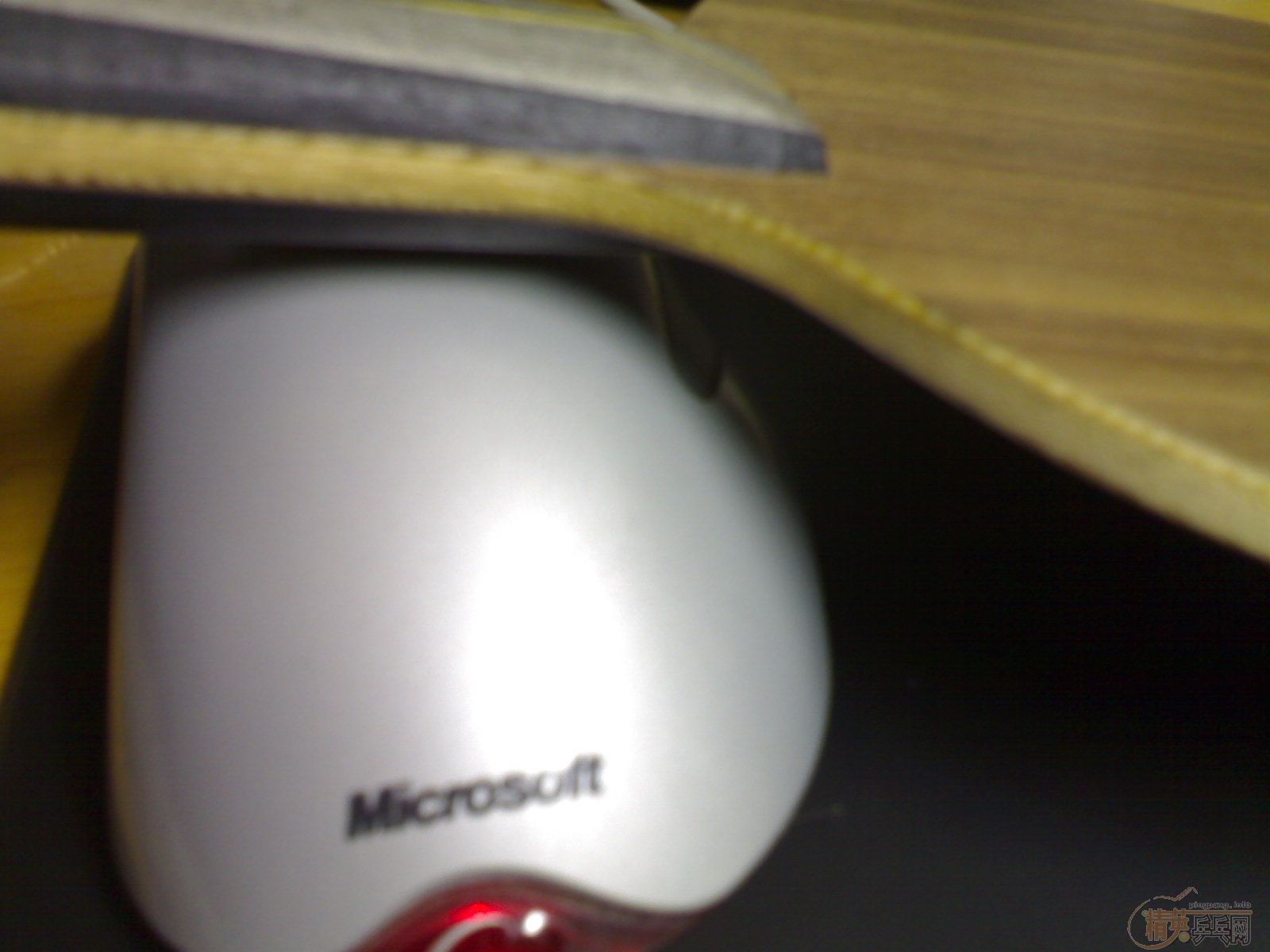 �������3��YEO��