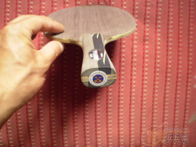 ����������ľ