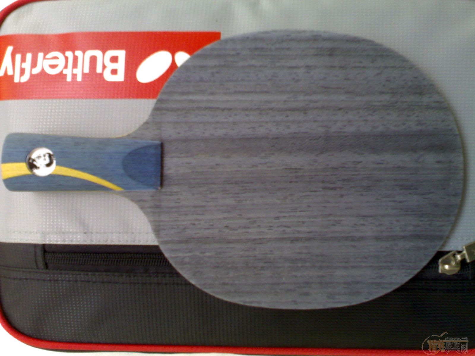 �ٳ�����µĿ��𩣡