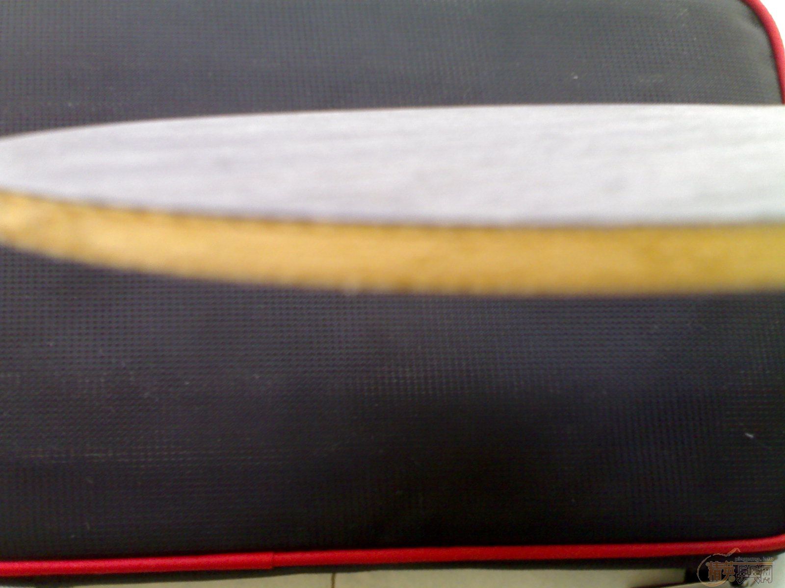 �ٳ�����µĿ��𩣡