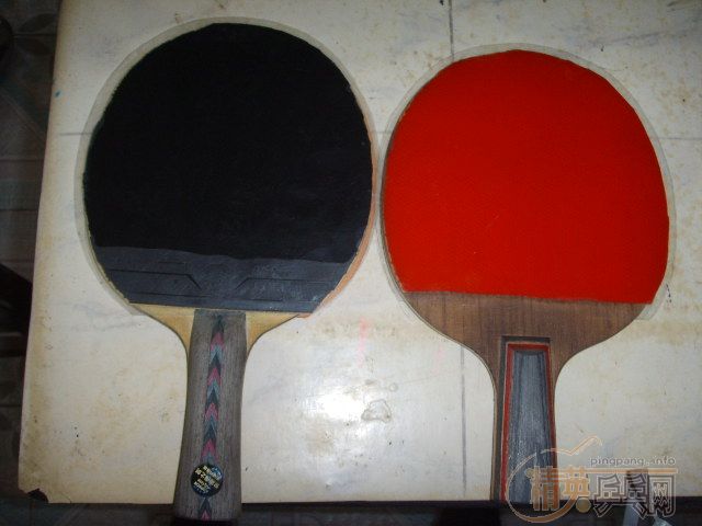 [����]�����Ҳ�����������