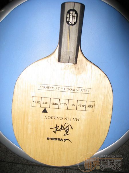 ������Ƭ�����ѳ���������̼ �л� 410����