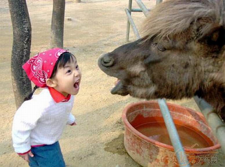 Сʱ׳٣