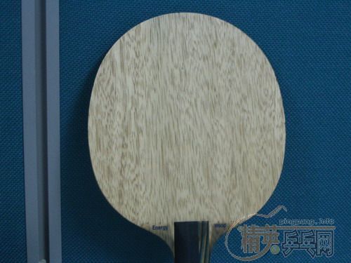 ��9.5���µ�ŷ��EG��200Ԫ����ݡ�һ֧9.5���µ�DONIC���ܷ�100Ԫ�����