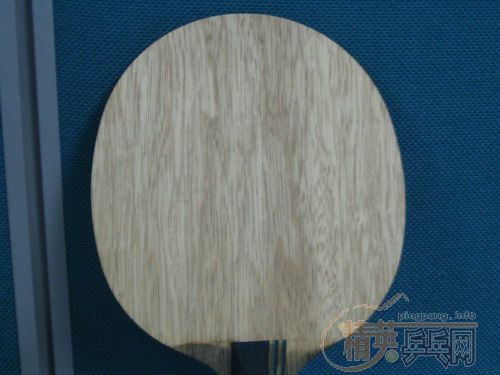 ��9.5���µ�ŷ��EG��200Ԫ����ݡ�һ֧9.5���µ�DONIC���ܷ�100Ԫ�����