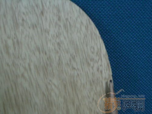 ��9.5���µ�ŷ��EG��200Ԫ����ݡ�һ֧9.5���µ�DONIC���ܷ�100Ԫ�����